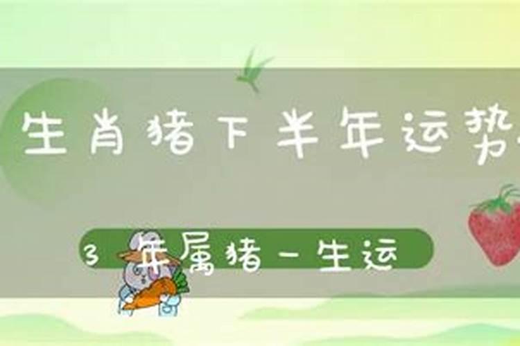 2025年重阳节是几月几日