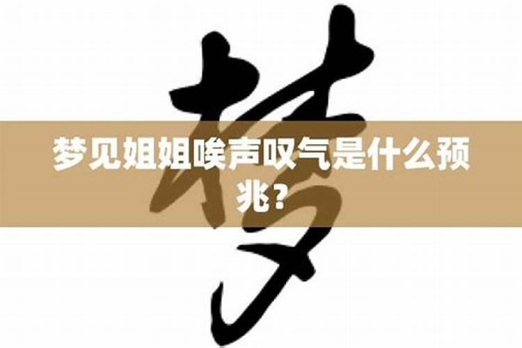 1999的兔在2025的运势与运程