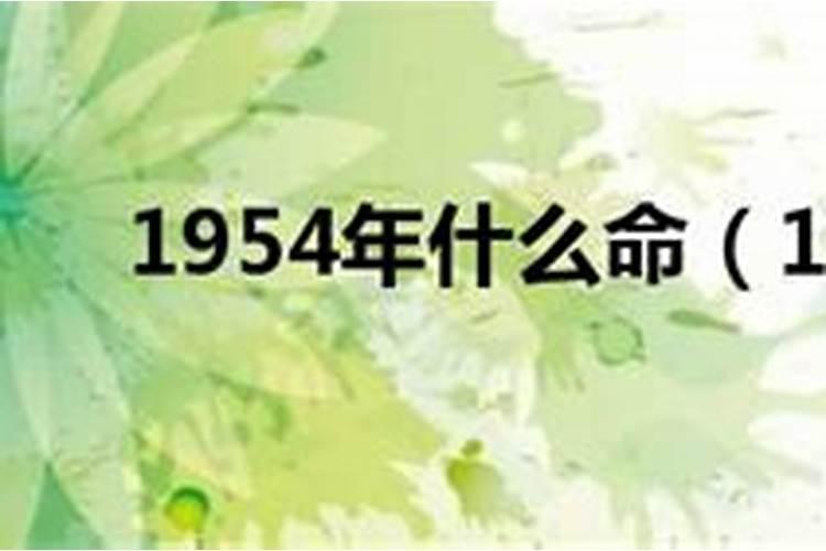 清明如何网上祭扫