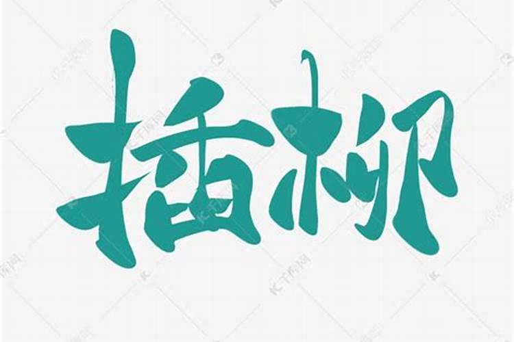 外国人的命也能用八字算吗？