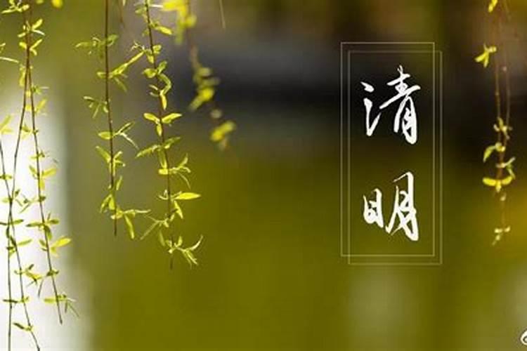 外国人算命吗