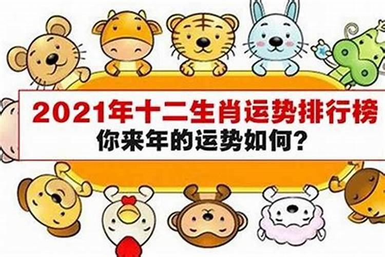 属虎人2025全年运势详解 属虎人2025年每月运势
