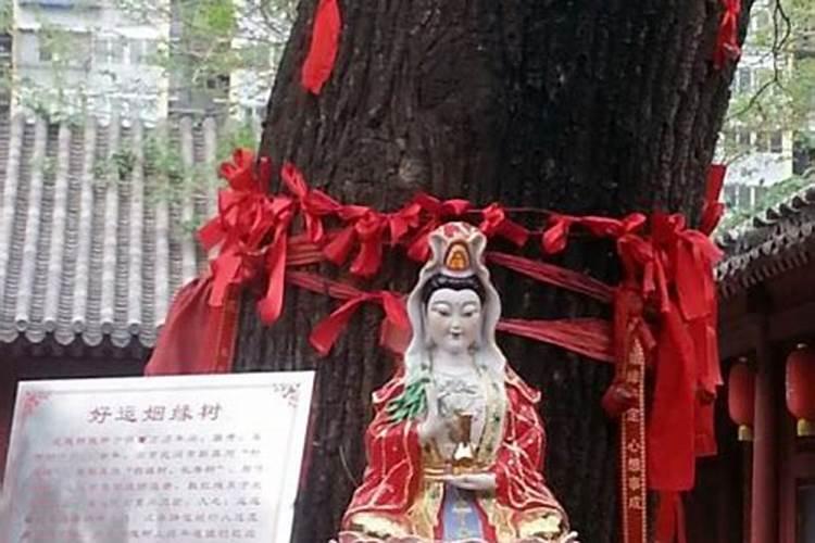女生去雍和宫求什么最灵