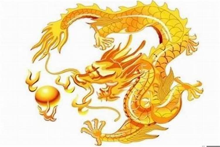 属龙人吃什么最旺财运