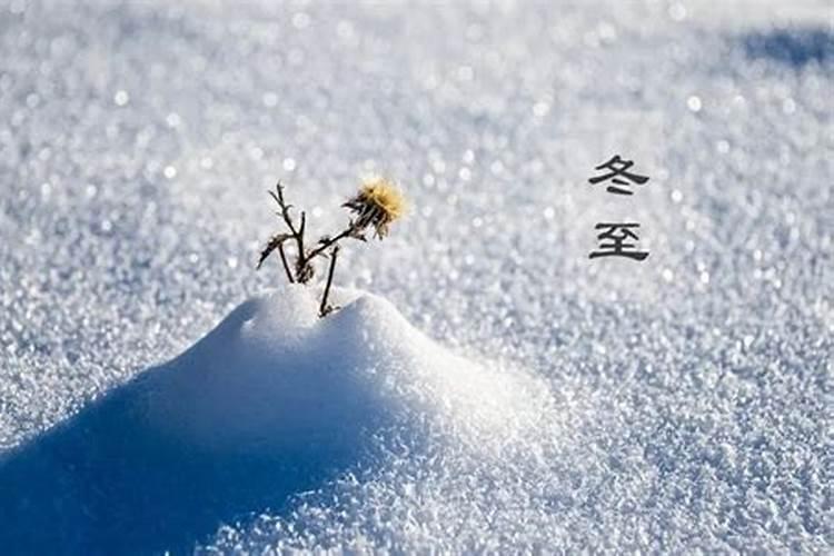 冬至要上坟吗