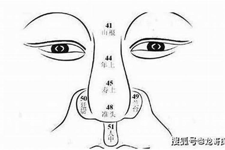 2025生肖蛇的运势大全 属蛇人2025年每月运势