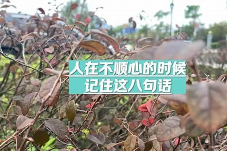 我脾气特别暴躁,遇到不顺心的事情就烦,这样很不好,但是骨子里就这样...