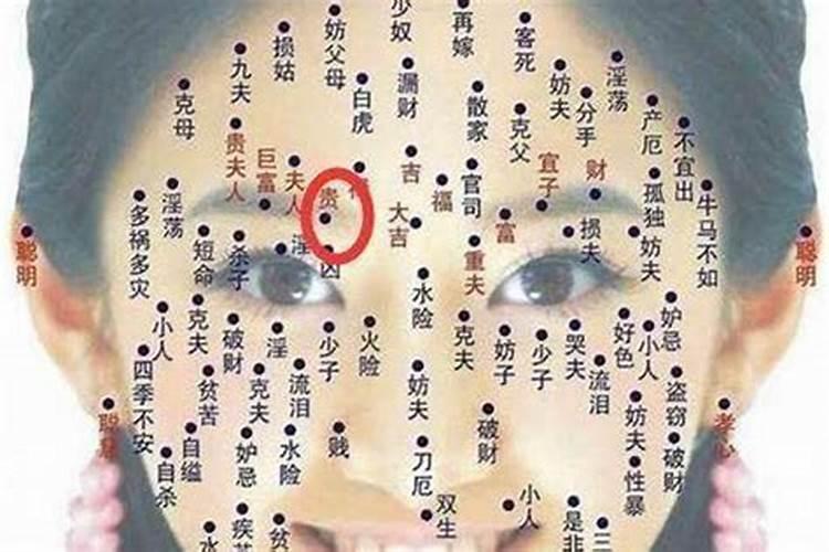 2025年鼠年运势及运程1984