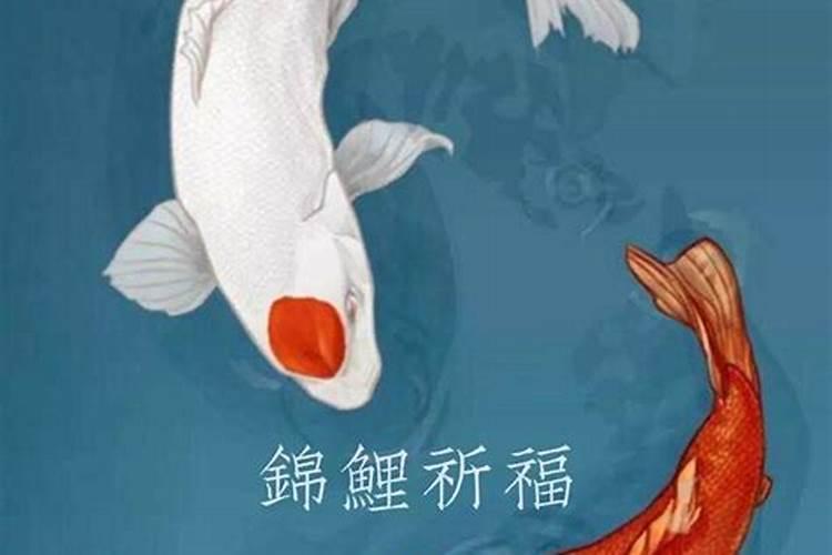 2010年属虎的2022年下半年运势运程 小升初重要阶段？