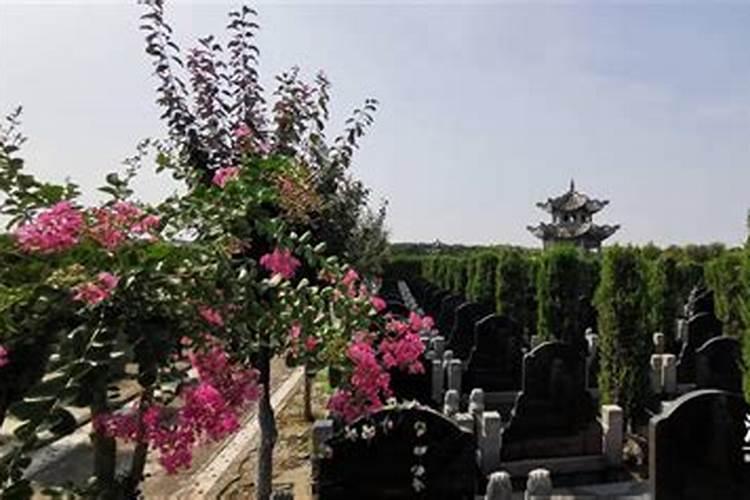 虎口财富纹 在大拇指的第二节