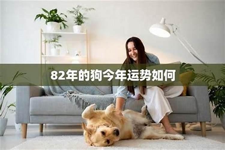 属猴人2025全年运势 属猴人2025年每月运势