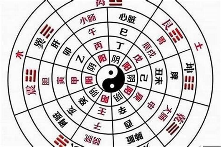生肖狗2025年5月运势