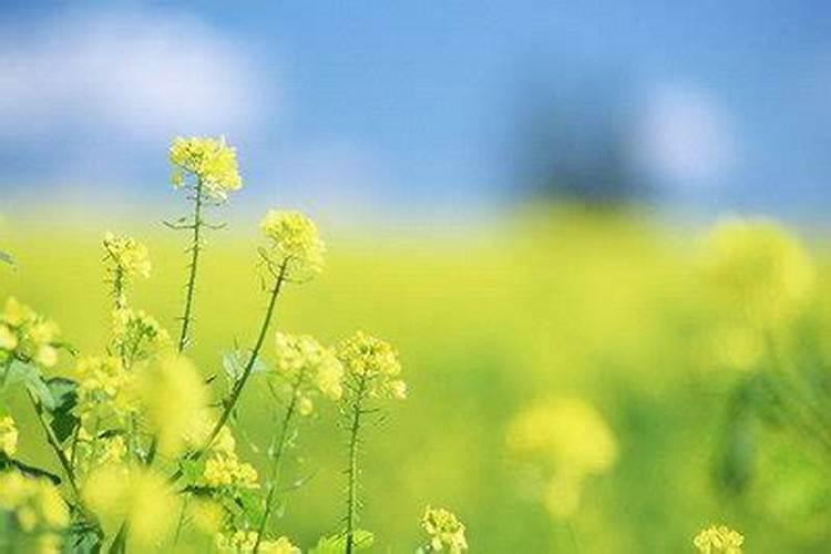 7月15鬼节出生的女孩 娶七月十五女孩好不好