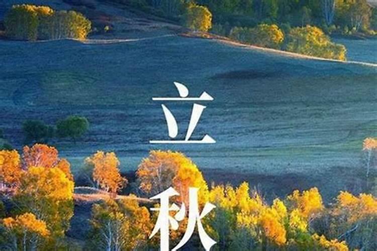 属牛的破太岁解决方法