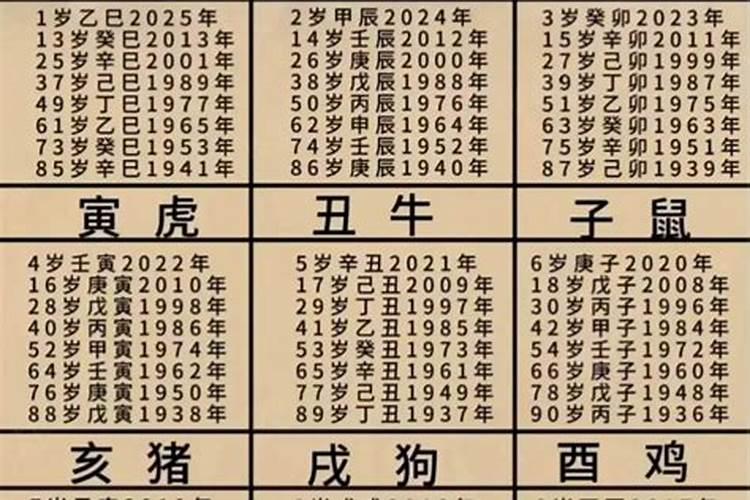 77年属蛇在2025年的全年运势如何