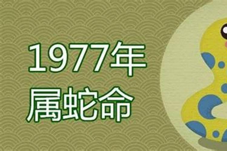 77年属蛇男2025年的运势和婚姻状况