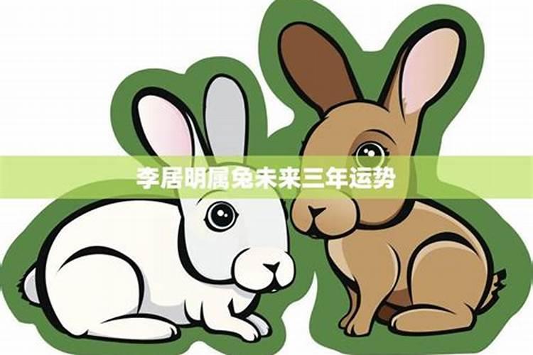 属兔2025年运势详解