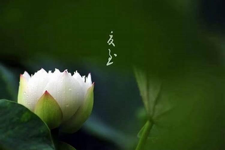 做法事是真的吗