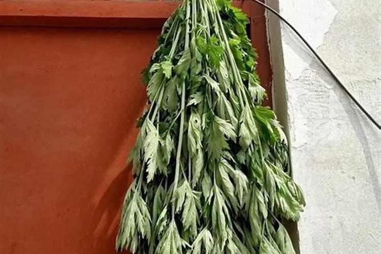 端午节艾叶怎么挂正确