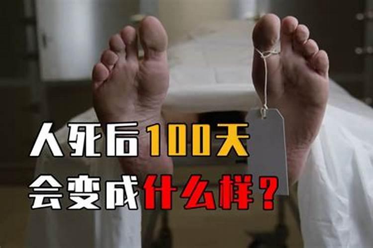 2025年破太岁的生肖是哪个