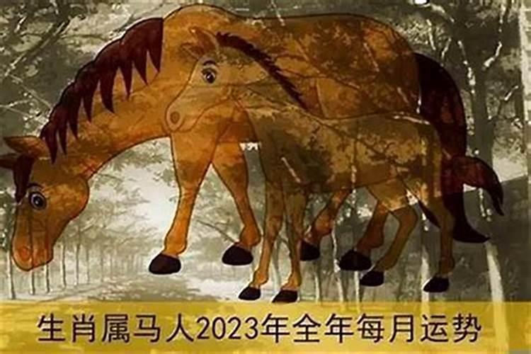 2025年犯太岁的生肖虎怎么化解 2025年犯太岁的生肖虎怎么躲星