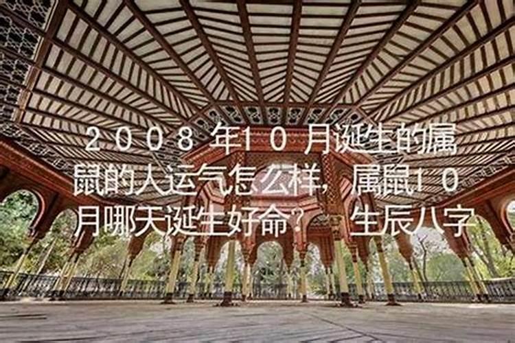 生肖鸡1969年出生2025几岁了