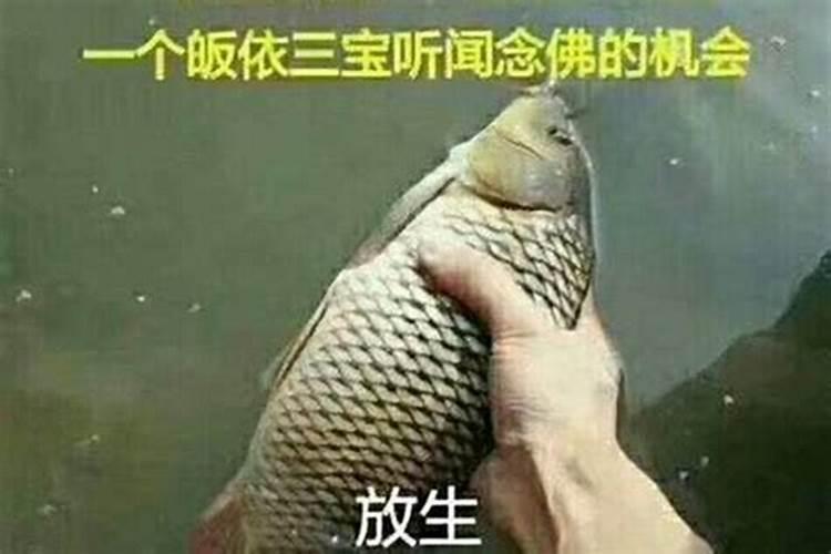...想去太原仙居园公墓祭奠老人,不知发车的时间出来没有？