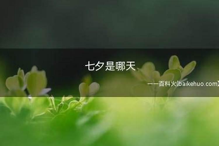 立春是什么意思 立春的含义 立春节气do