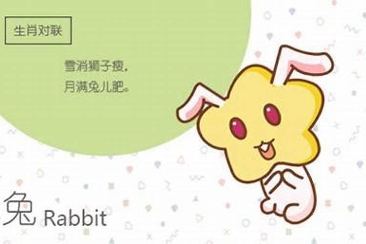 属兔的能和哪些属相配对？
