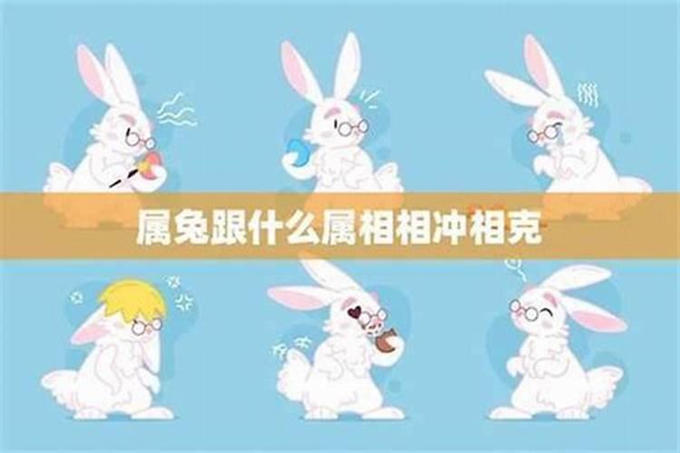 属兔人的最佳婚配对象