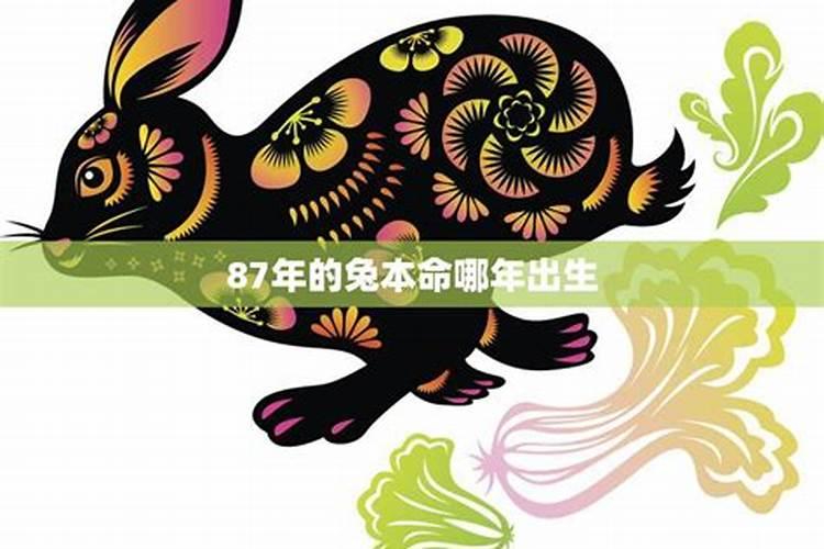 1987年兔年本命年