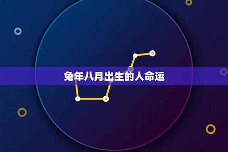 75年阴历8月4日属兔今年的财运