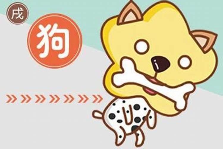 82年属狗最穷不过41岁 1982 年属狗人如何提升自己的运势