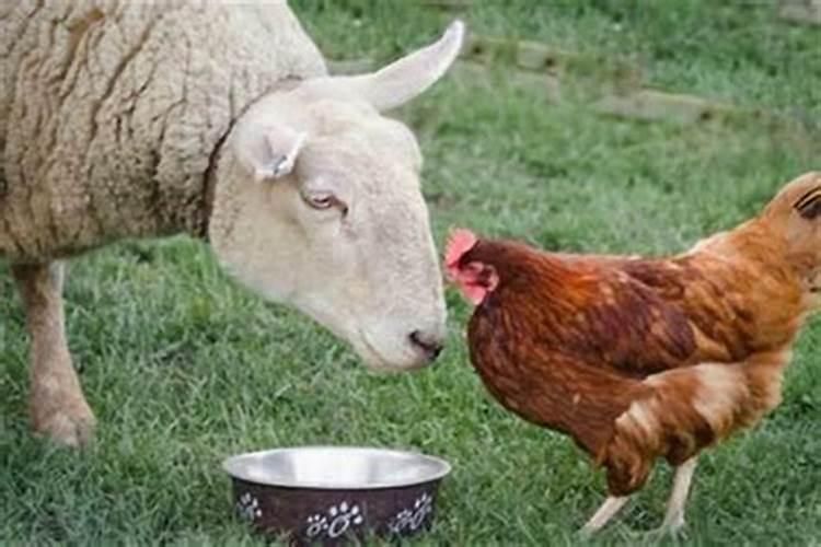 1972年鼠在2025年每月运势