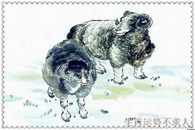 属猪的和什么属相最配