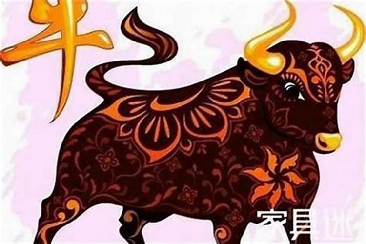 2025年犯太岁的生肖猪怎么化解2025年犯太岁的生肖猪怎么躲星