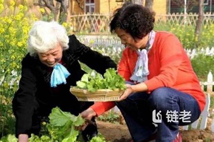 梦见回老家看见许多亲人的预兆