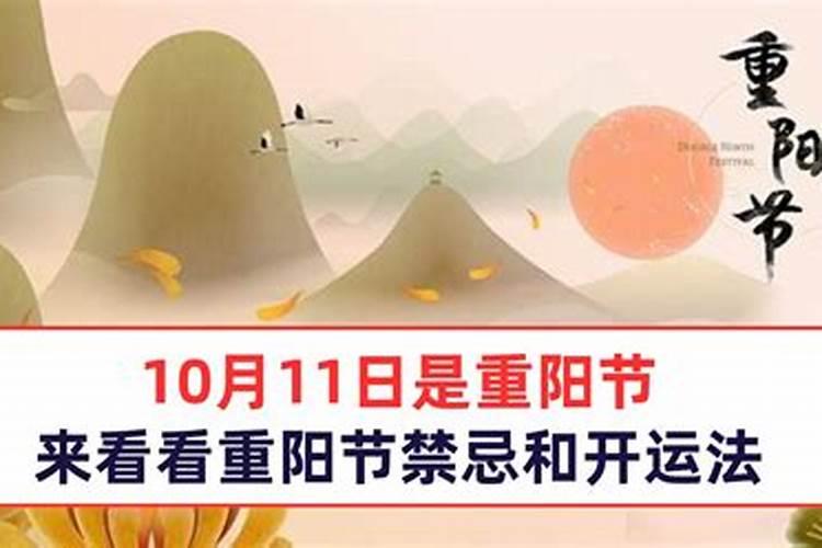 重阳节有哪些禁忌？