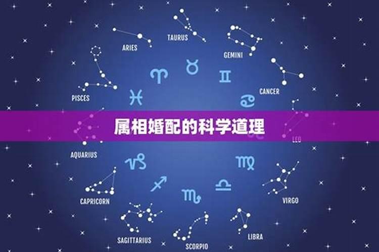 属相不合有科学依据吗属相不合真的不能结婚吗？