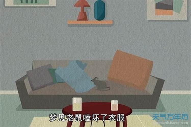 梦到老鼠是什么意思周公解梦