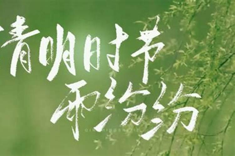 家中放什么风水最旺学业