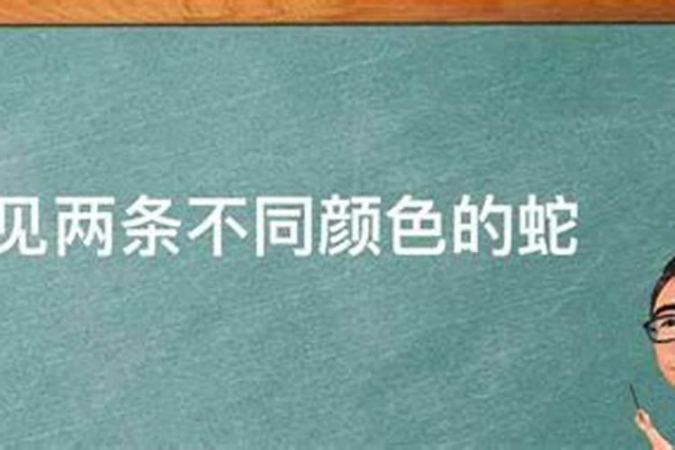 阴债怎么查怎么还