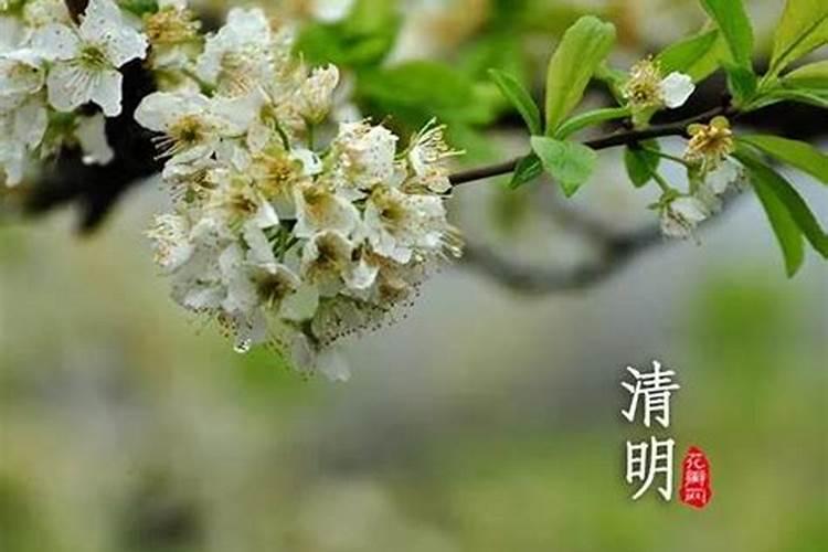 现在最流行的催眠歌曲,能看到前世