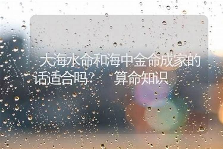 金命和金命姻缘相配吗而且是同一个属相