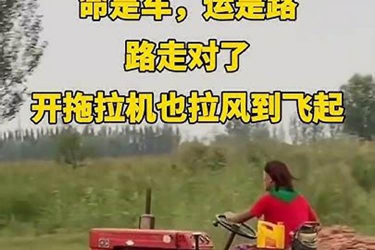 属兔男2025年全年运势