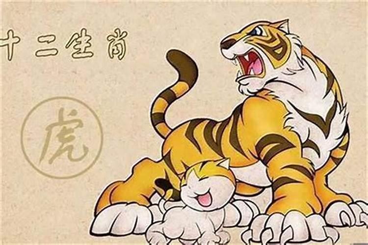 龙男和虎女是上等婚吗