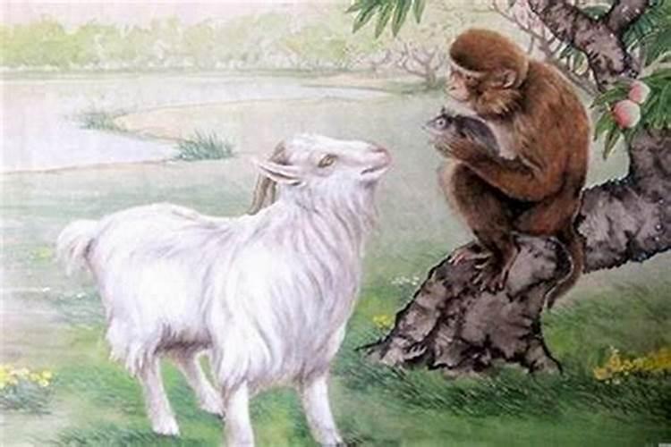 算婚姻姻缘免费软件