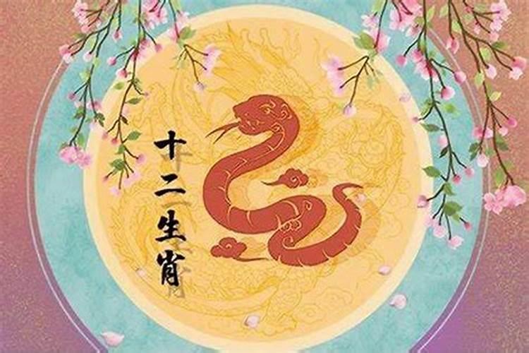 属蛇怎样化解冲太岁 蛇犯太岁带什么好？