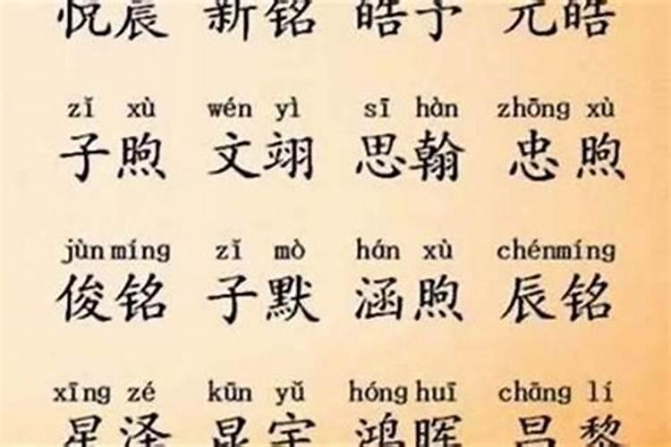72年鼠在2025年的每月运势
