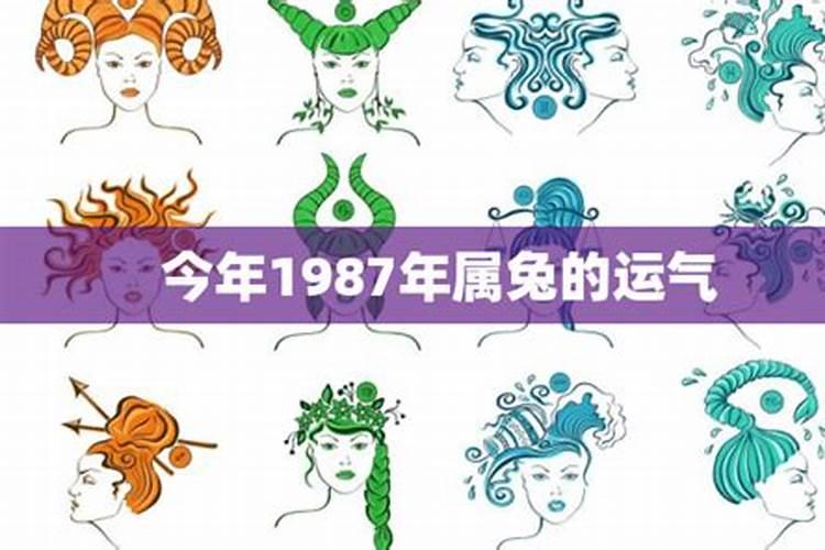 1987属兔今年婚姻运势好吗